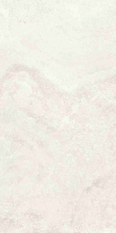 Petra Viva Bone Matte 12 x 24